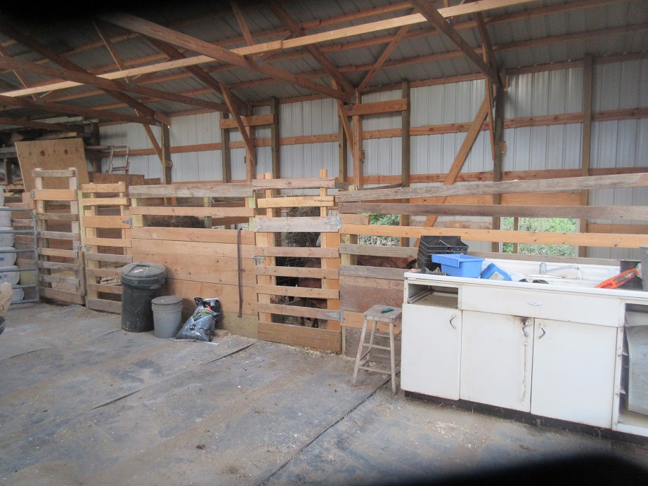 Doe stalls barn interior